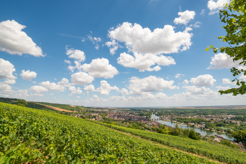 Vue de Joigny depuis le Belvedère